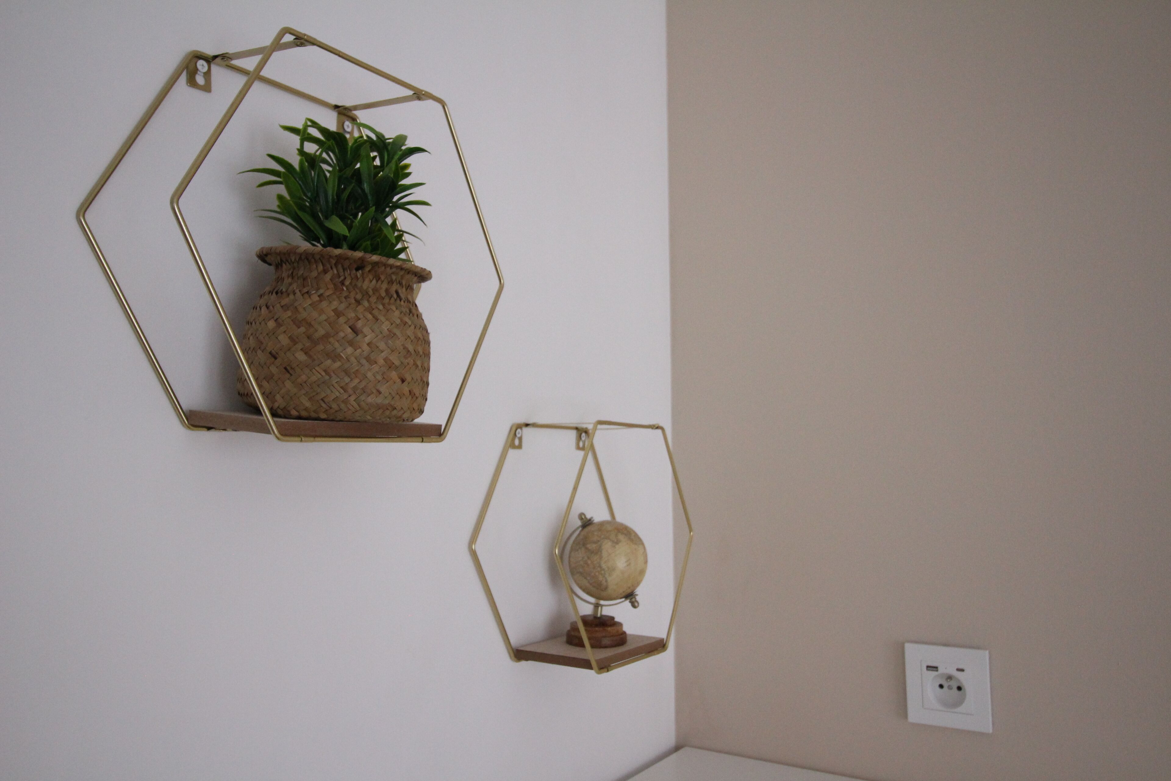 Kaksi kuusikulmaista seinälle kiinnitettävää hyllyä, toisella on punottu kori, jossa on kasvi, ja toisella maapallo.