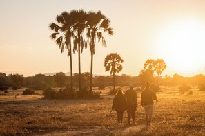 A sunset with palm trees and a clear sky. - Nzovu Rundu Luxury Camp (Kalomo)