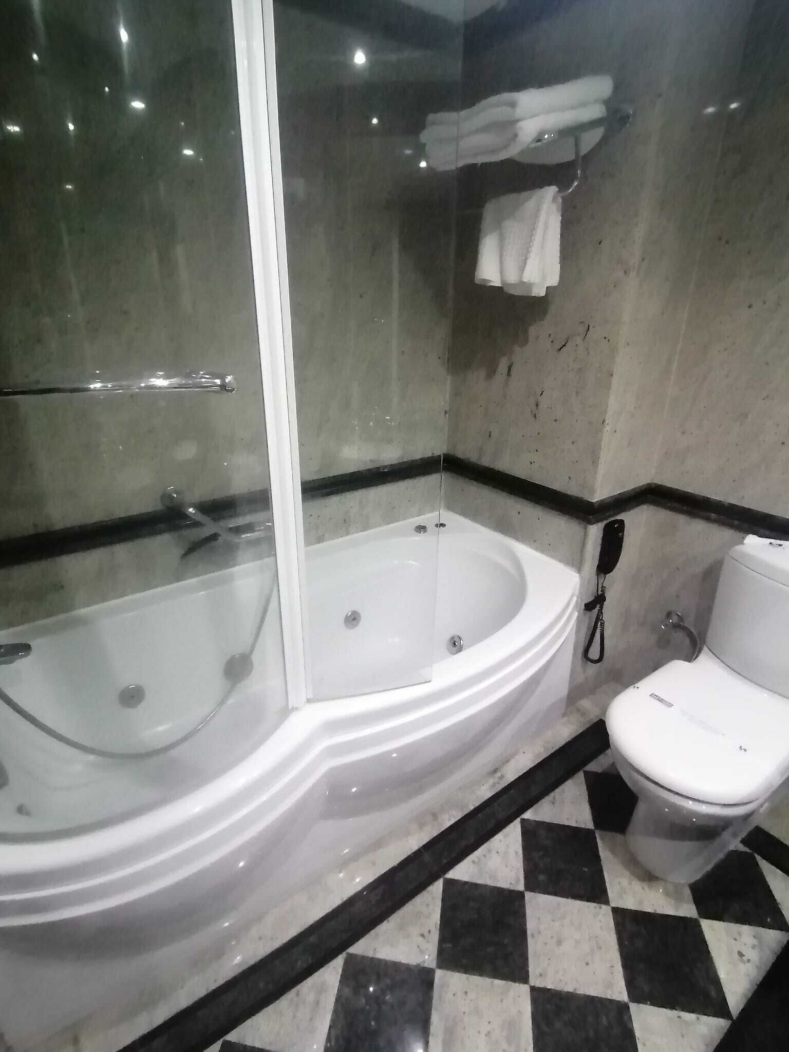 A bathroom with a glass-enclosed jacuzzi, a toilet, and a checkered floor.