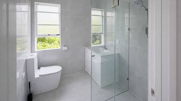 Shower, towels, toilet paper