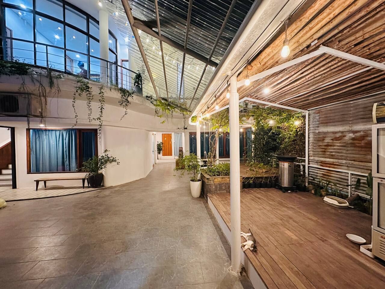 An indoor space with a wooden floor, potted plants, and a view of the outside.