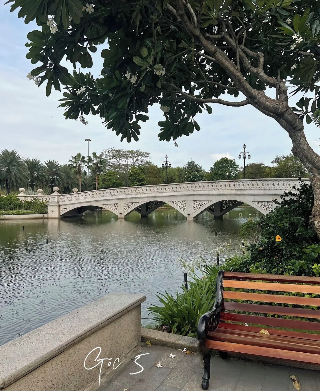 Un puente de piedra sobre aguas tranquilas, rodeado de abundante vegetación y un banco de madera.