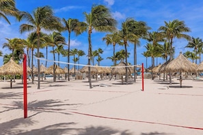 Sports court - Oceanfront View! Beachfront Aruba Get Away - Lazy River! Family Friendly Resort (Noord)