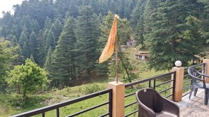 Property grounds - Devbhoomi Inn Homestay (Patal Bhuvaneshwar)