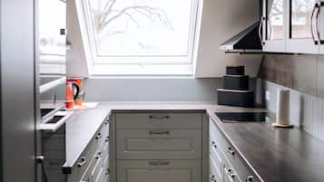 Apartment, Patio, City View | Private kitchen | Fridge, microwave, oven, stovetop