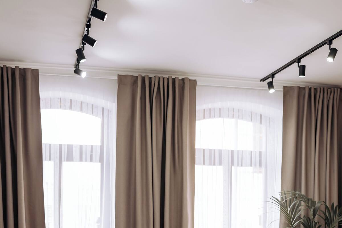 Una habitación de hotel con cama, escritorio, silla y una planta en maceta.