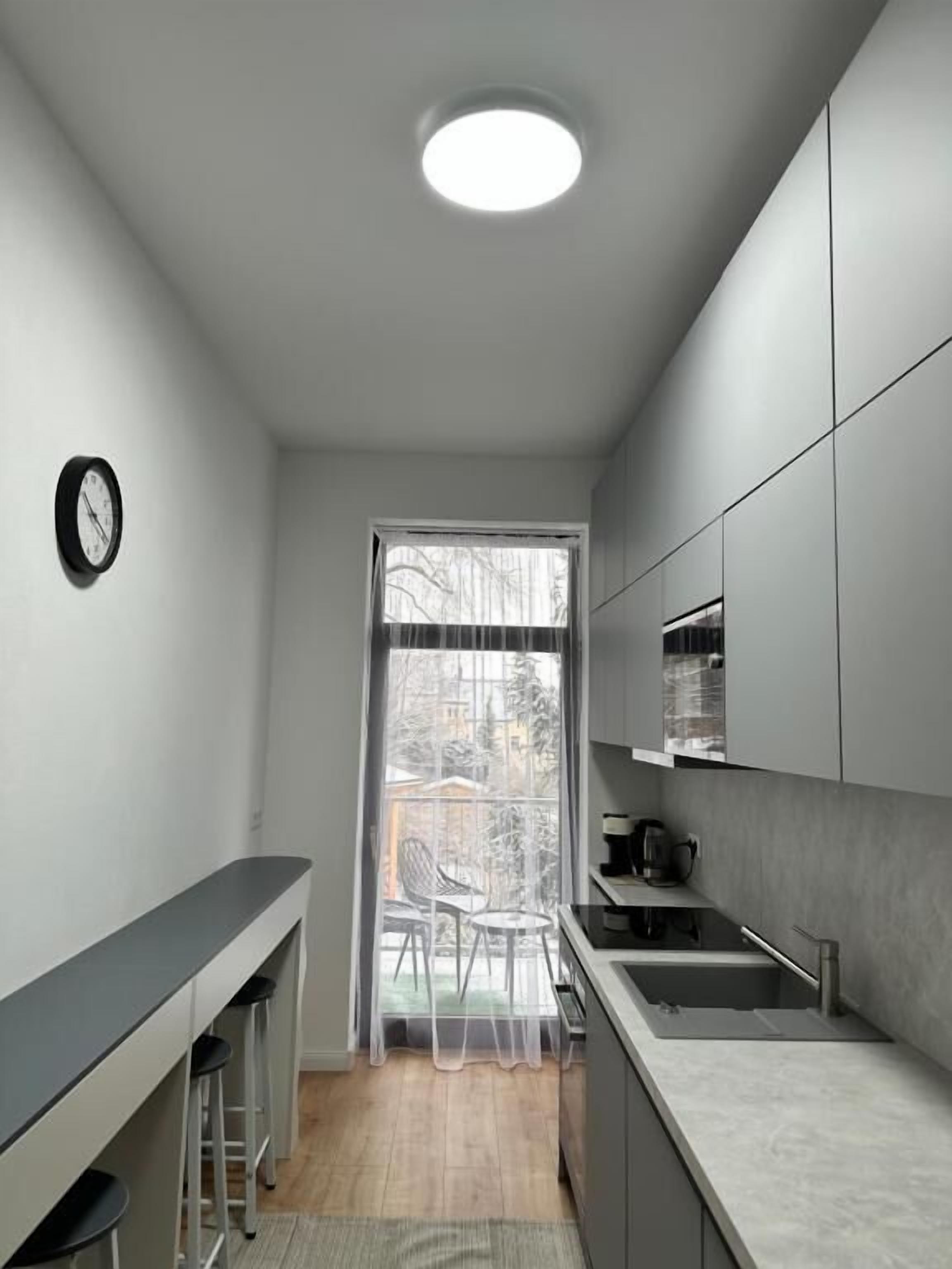 Deluxe Apartment, Balcony, City View | Private kitchen | Fridge, microwave, oven, stovetop