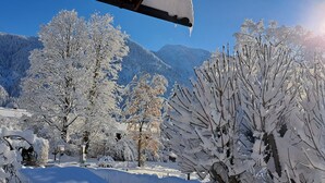 Schneebedeckte Landschaft mit Bäumen und Bergen im Hintergrund.