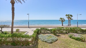 Ein Strand mit Palmen, blauem Himmel und Blick aufs Meer.