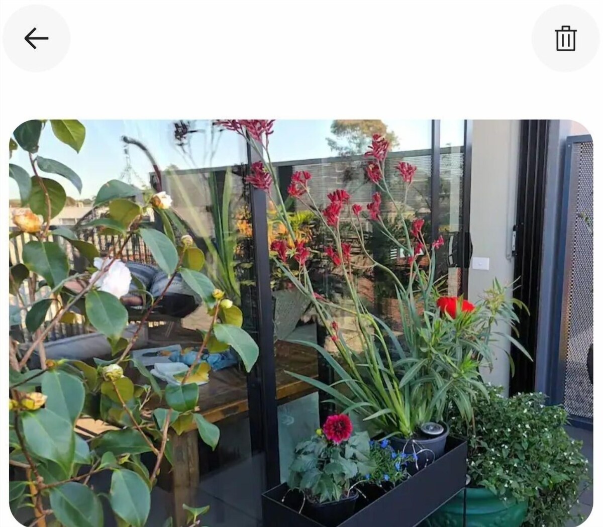 Bild für Gastgeberprofil