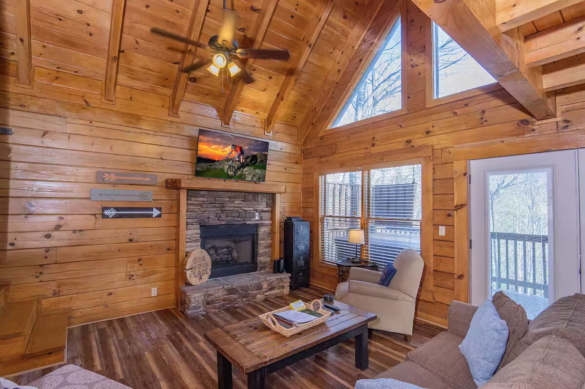 TV connectée, cheminée, jeux vidéo, lecteur de DVD