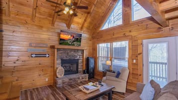 TV connectée, cheminée, jeux vidéo, lecteur de DVD