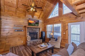 Smart TV, chimenea, videojuegos y reproductor de DVD 