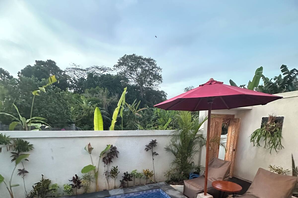 A small pool with a red umbrella, surrounded by plants and a beige chair.