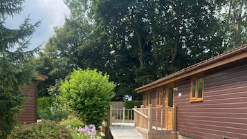 Terrain de l’hébergement