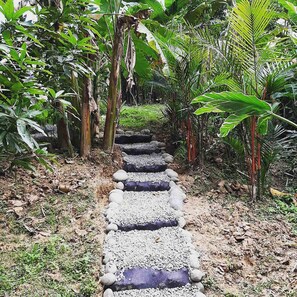 Property grounds - Casa Luminosa - Jungle Pool Villa with infinity spa (Puerto Viejo de Talamanca)
