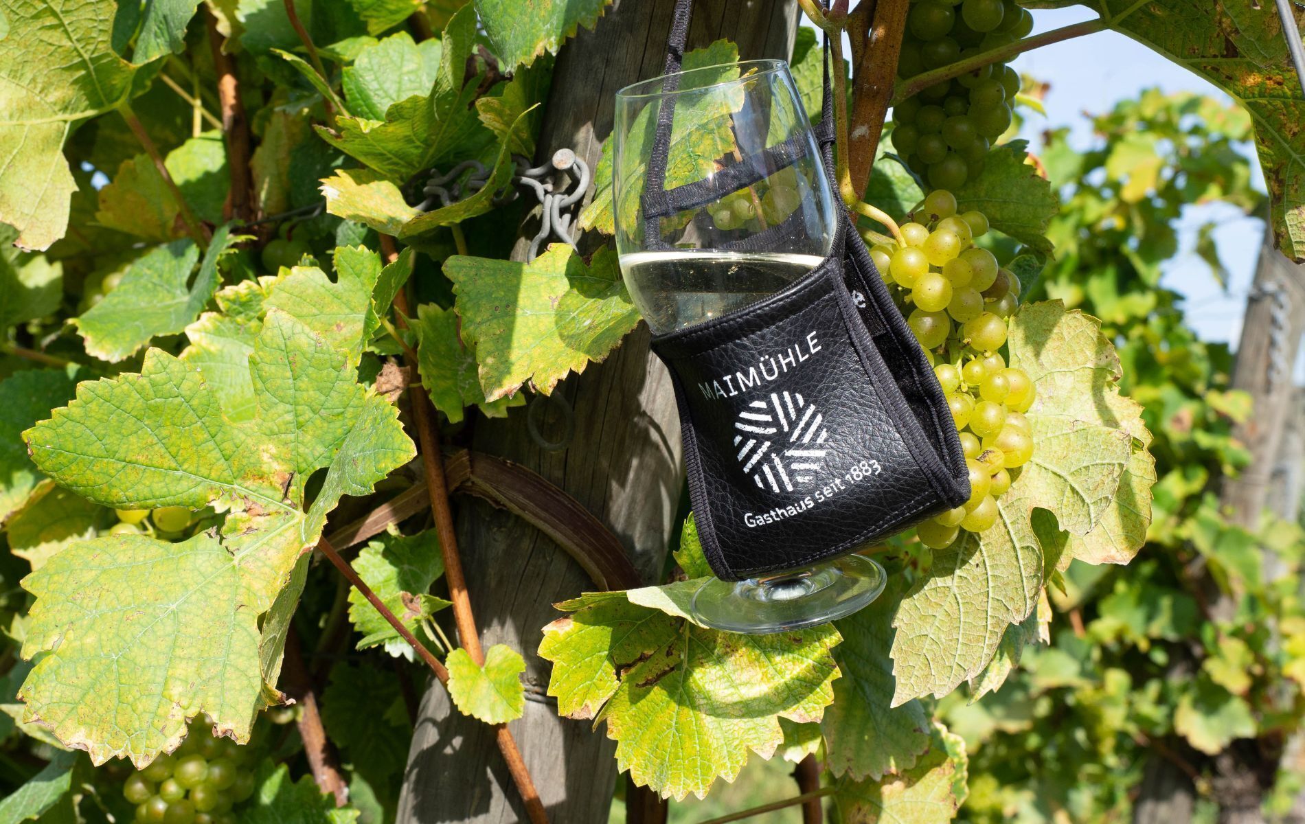A wine glass with a black label hanging from a vine with green grapes.