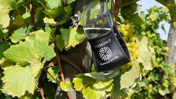 A wine glass with a black label hanging from a vine with green grapes.