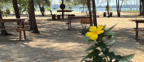 A beach setting with wooden benches and picnic tables, surrounded by tall trees and a thatched-roof structure.