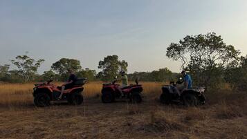 Three people riding ATVs in a dry grass field with trees in the background.