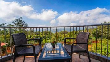Valley View Room | Balcony