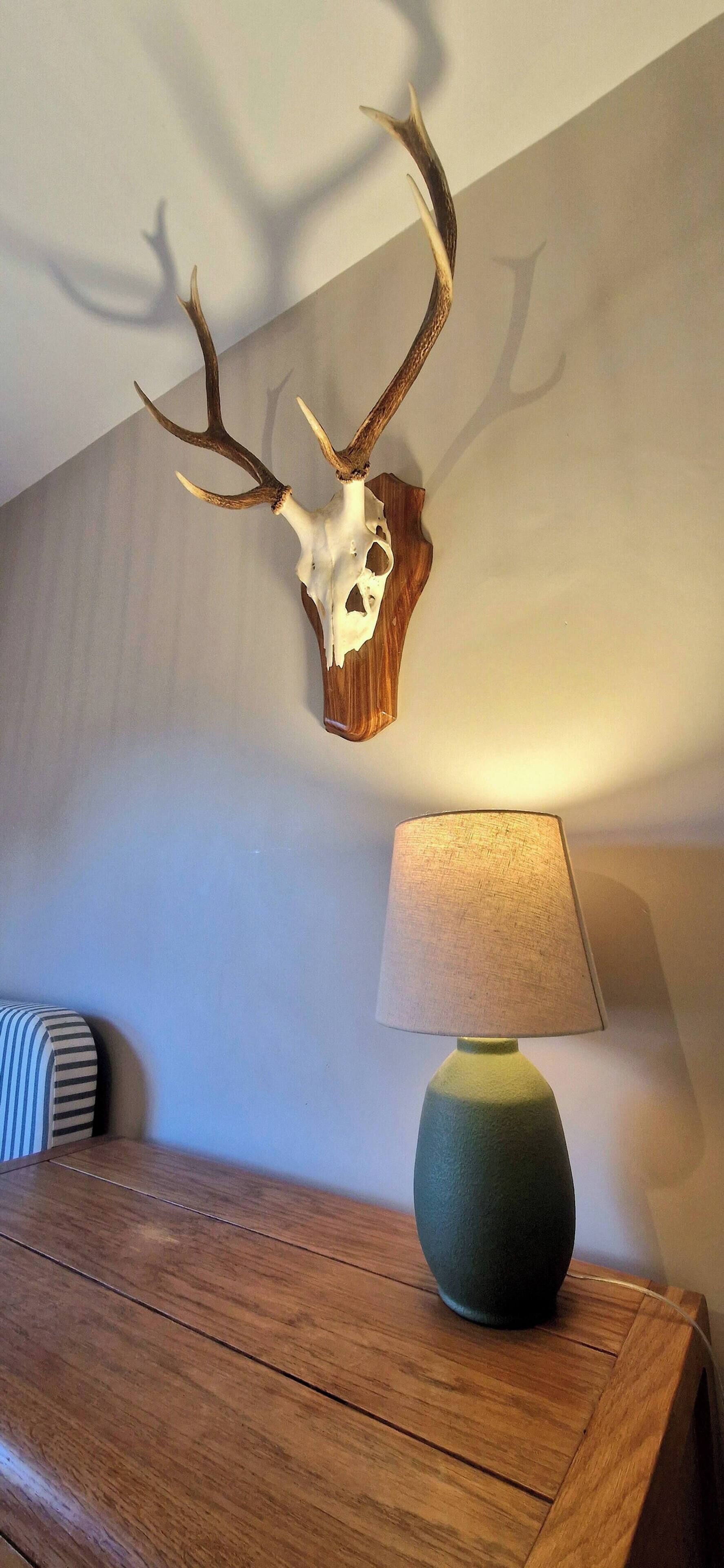 Una mesa de madera con una lámpara y un cráneo de ciervo montado en la pared.