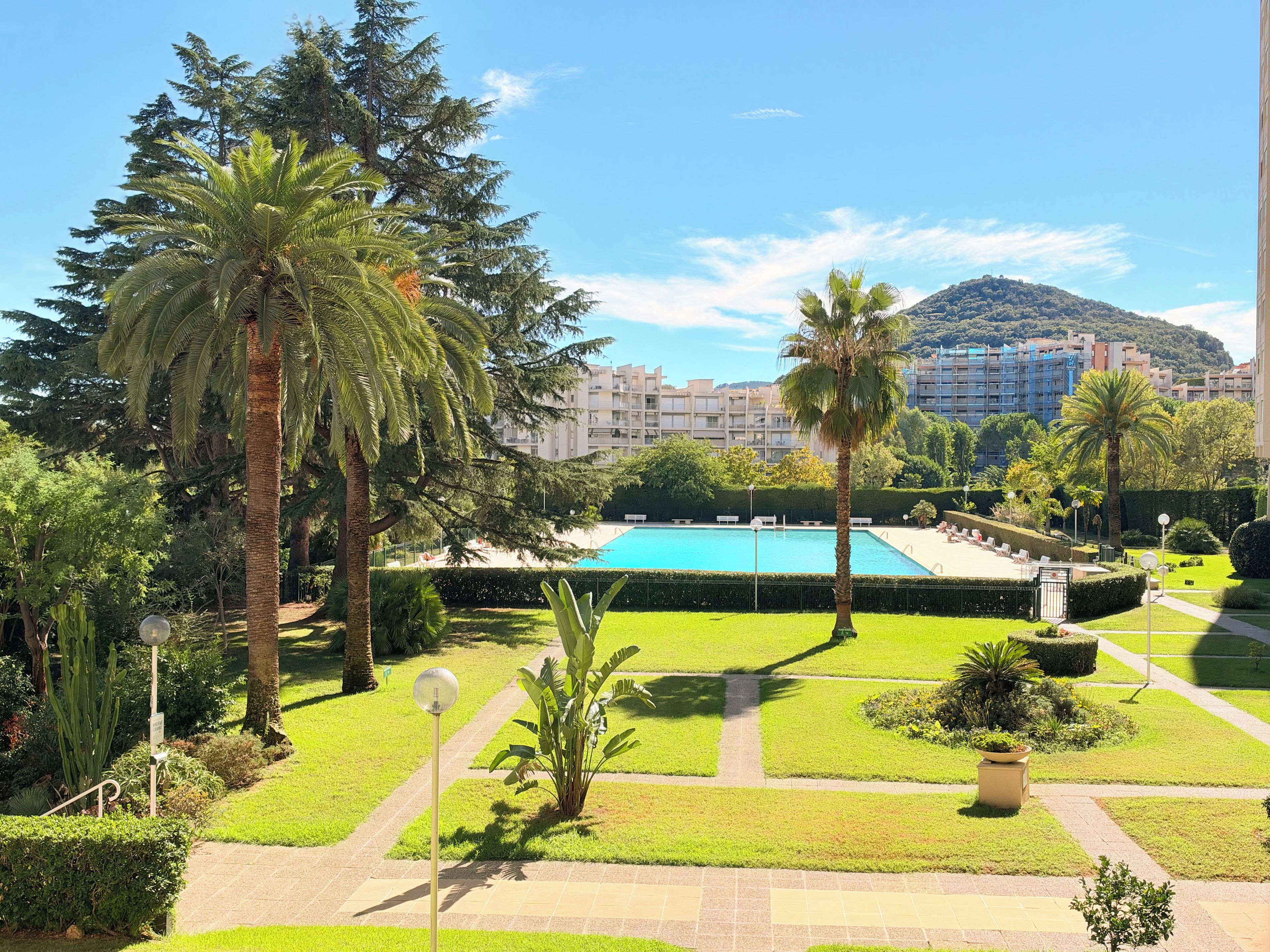 A pool area with palm trees and a mountain in the background.