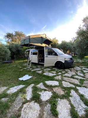 Property grounds - Il Mandorlo (Amantea)