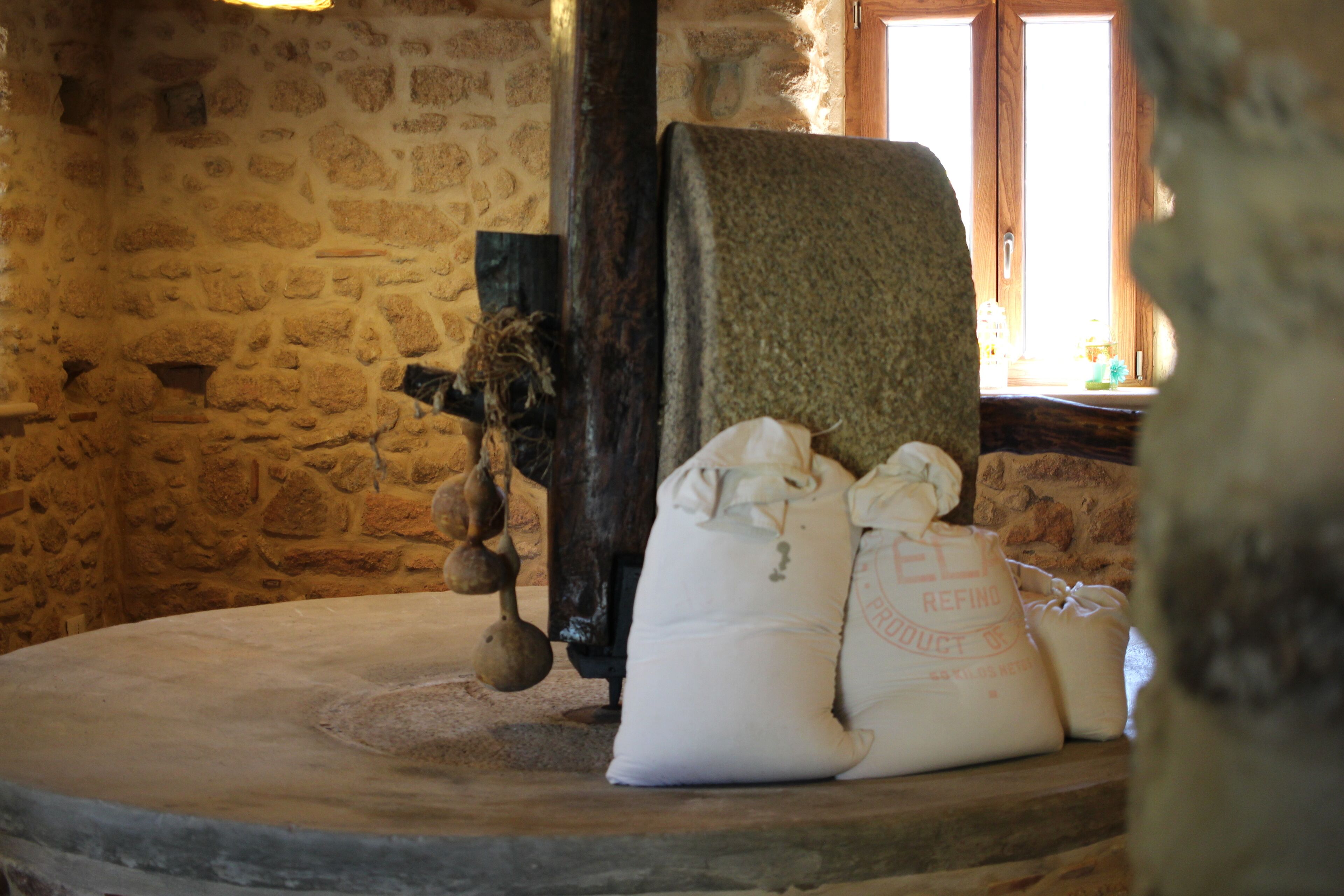 Vue sur la campagne depuis l’hébergement