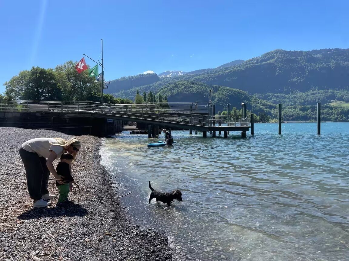 Une personne penchée au-dessus d’un enfant, près d’une étendue d’eau, avec un chien à proximité, un pont et un drapeau.