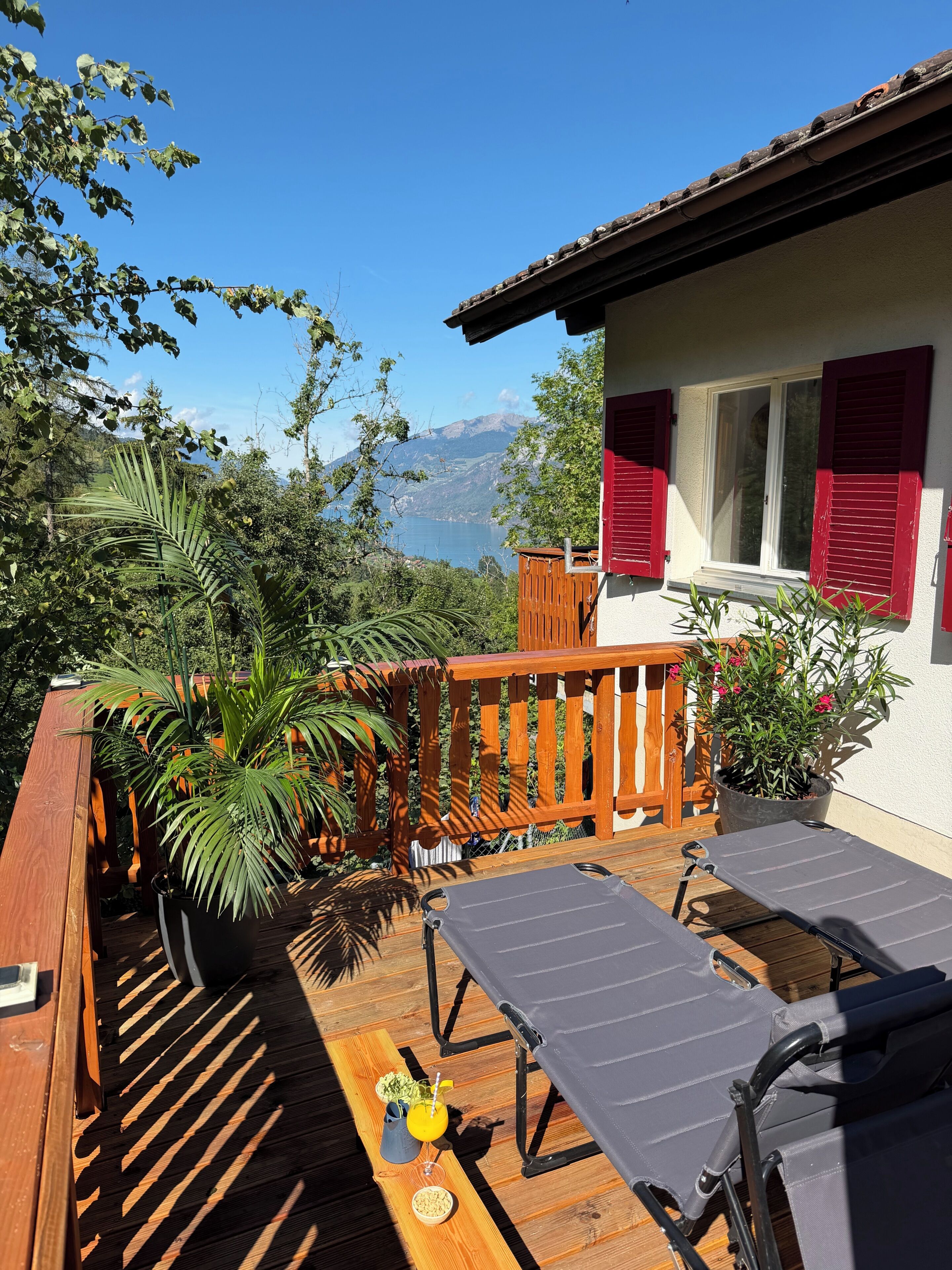 Une terrasse en bois avec une table et des chaises, un pot de fleurs et une vue sur une montagne et un lac.