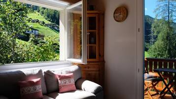 TV connectée, cheminée, jeux vidéo, lecteur de DVD