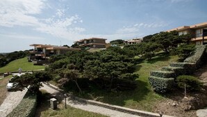 A hillside residential area with modern houses, a stone pathway, and well-maintained greenery.