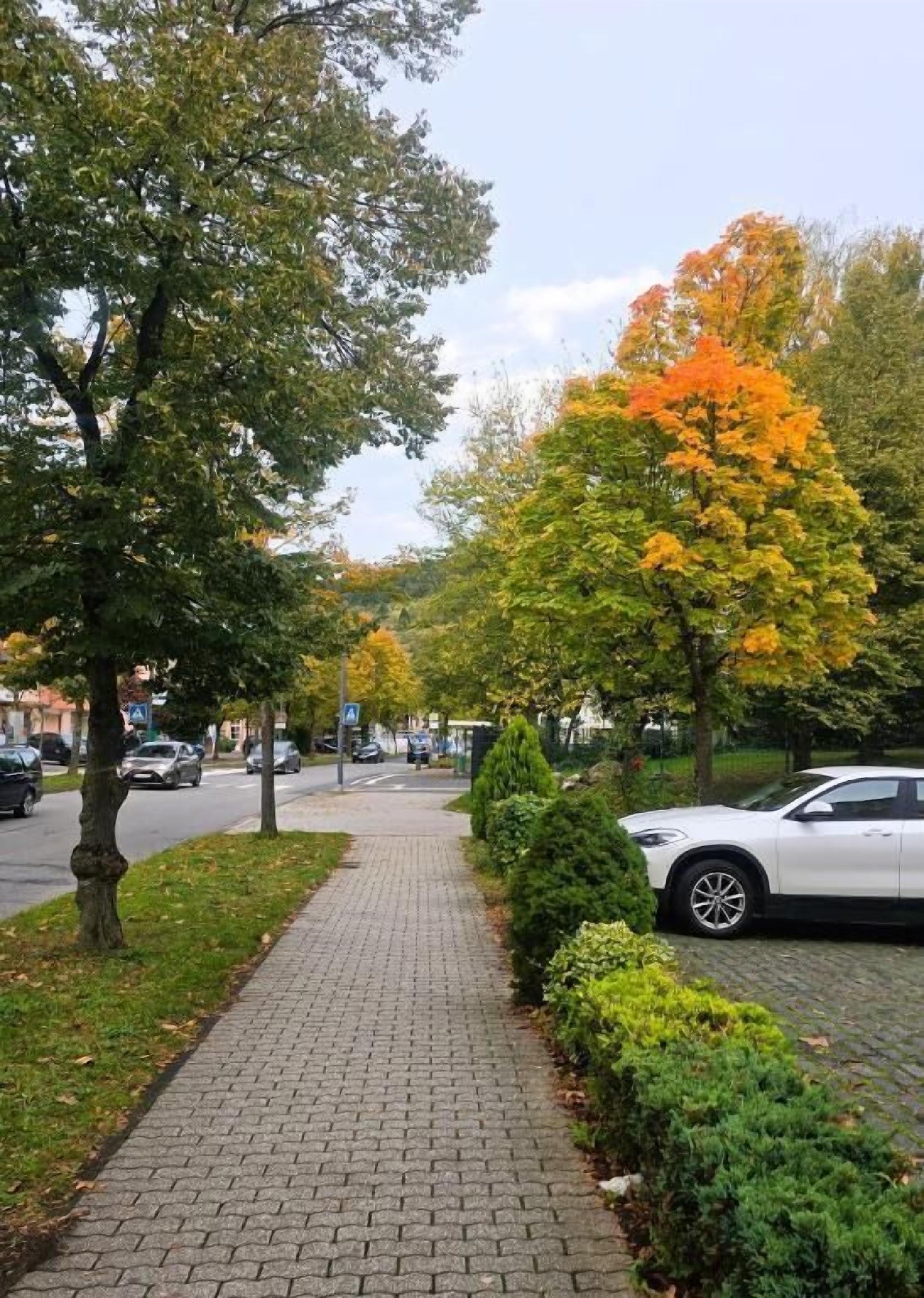 A paved pedestrian walkway lined with trees displaying autumn foliage.