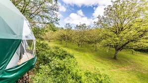 Property grounds - Premium Dome & hot tub – Nature in Dordogne (La Dornac)