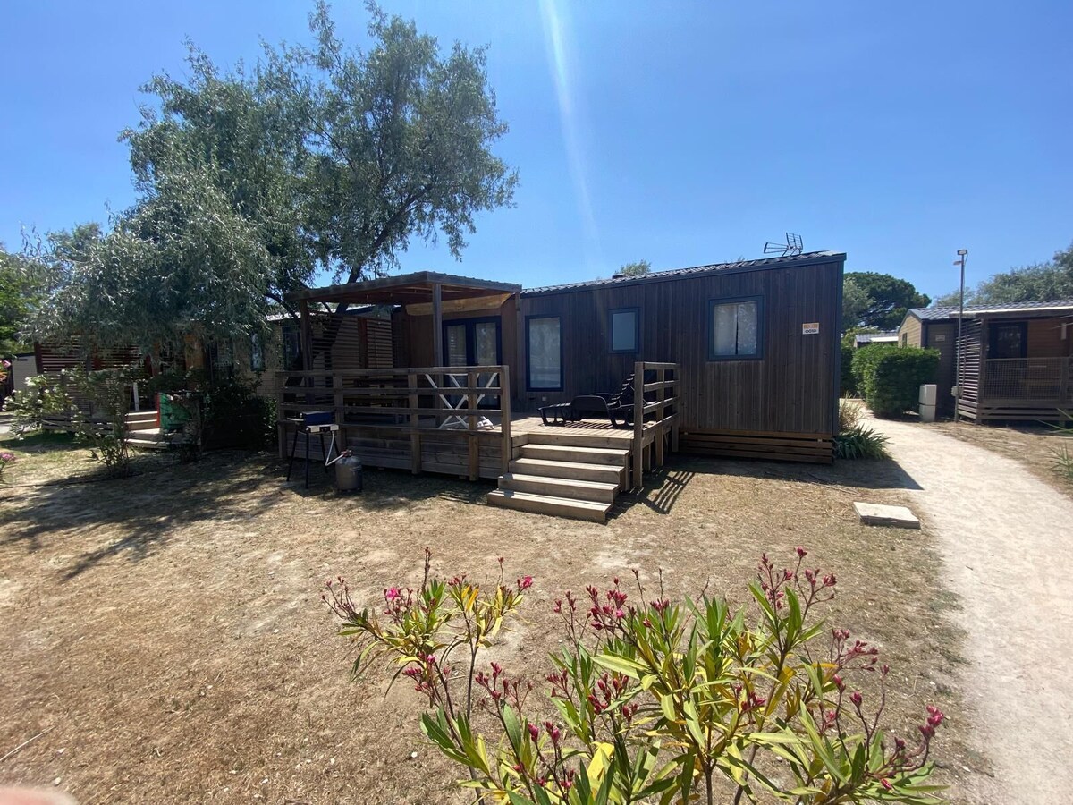 オーナーのプロフィール画像