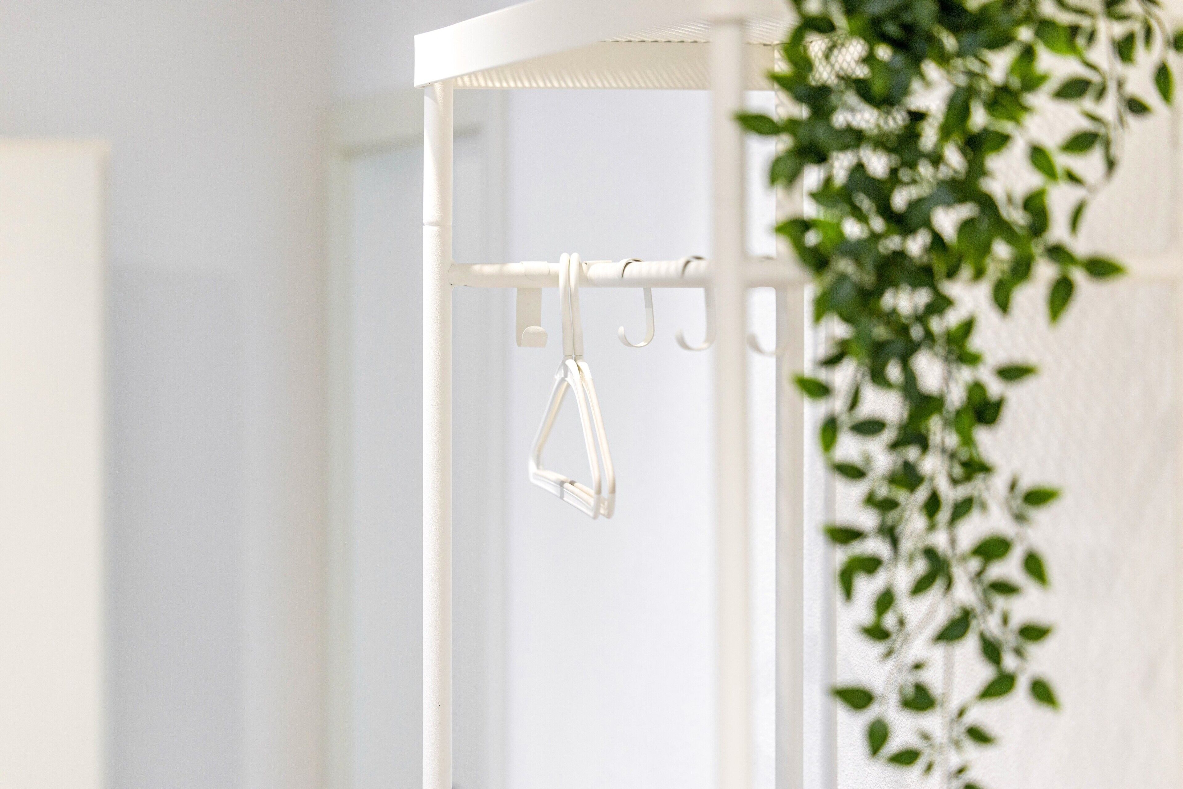 Un présentoir en métal blanc avec des crochets, une plante aux feuilles vertes et un mur blanc.