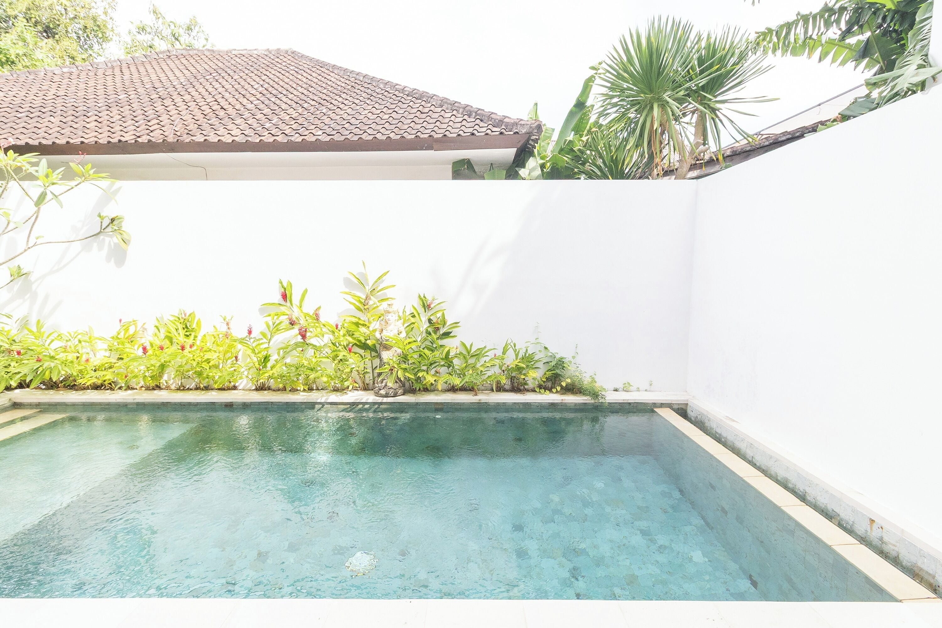 A swimming pool with clear water, surrounded by a white wall and lush greenery.