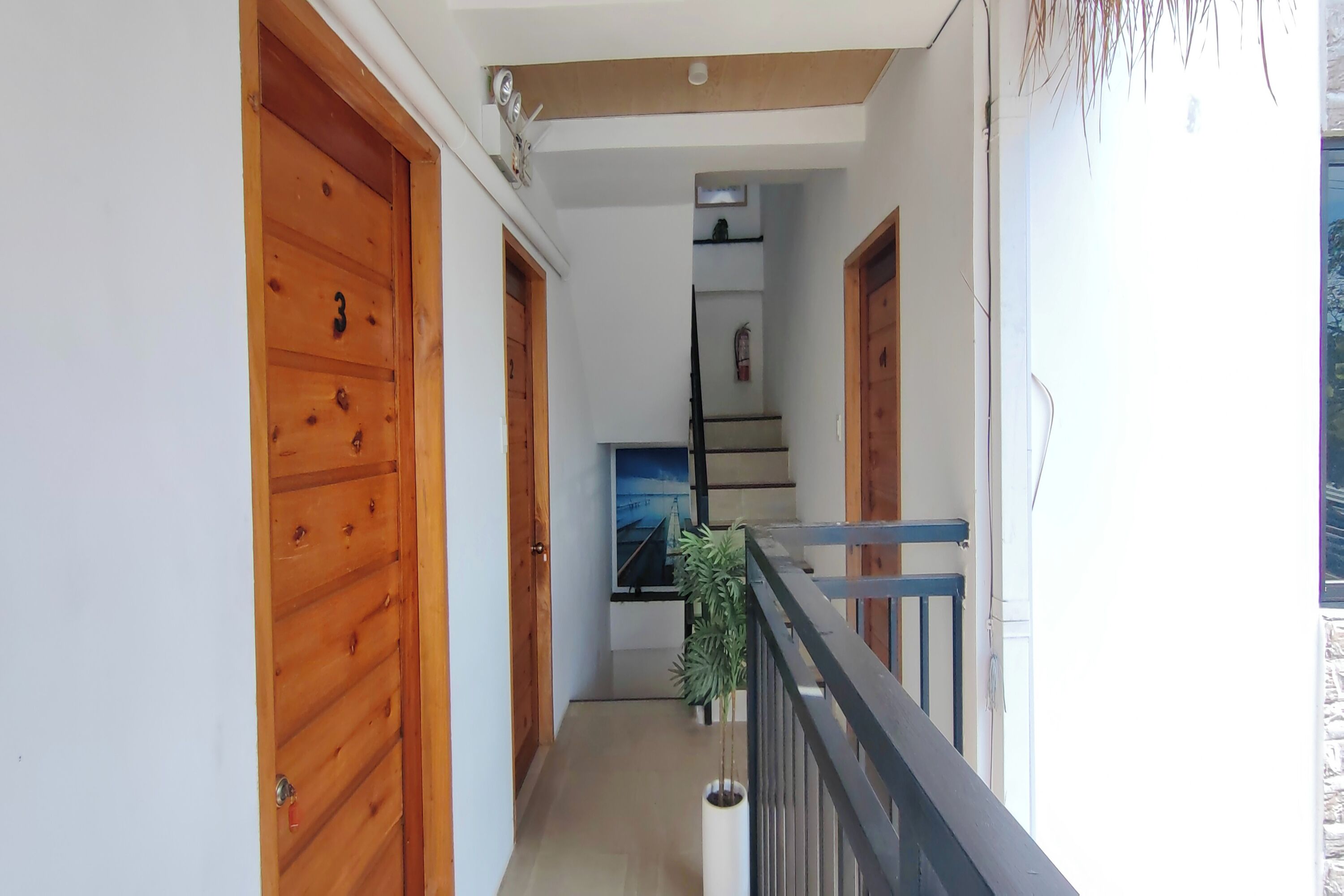 Un pasillo estrecho con puertas de madera, una escalera y una planta en maceta.