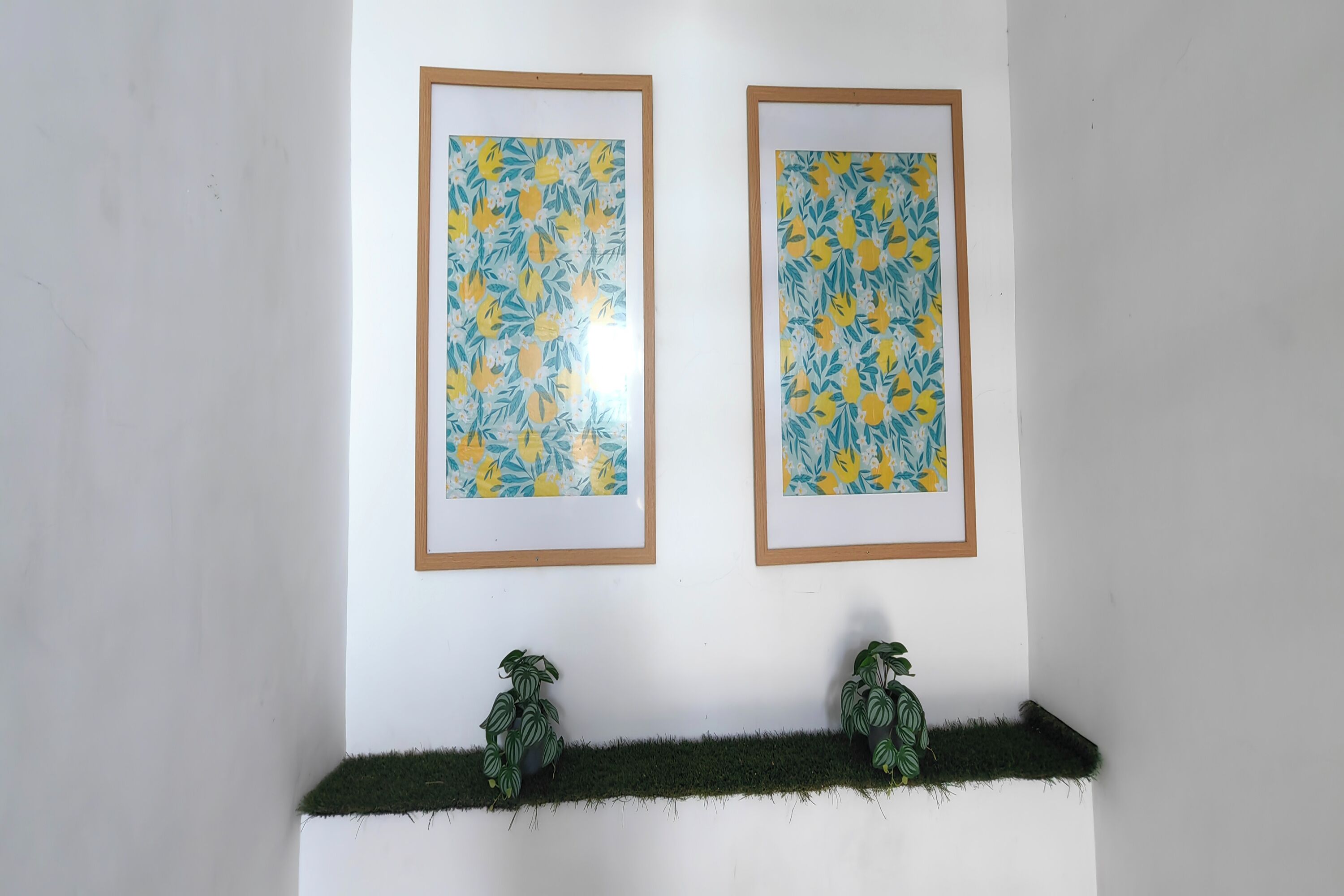 Dos obras de arte florales enmarcadas sobre una pared blanca, con dos plantas en macetas en un estante verde debajo.