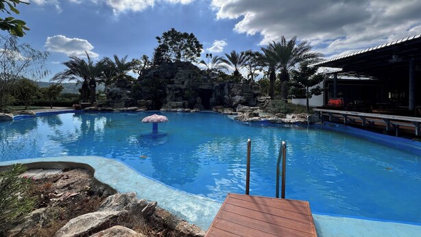 En swimmingpool med ett trädäck, omgiven av stenar och palmer.