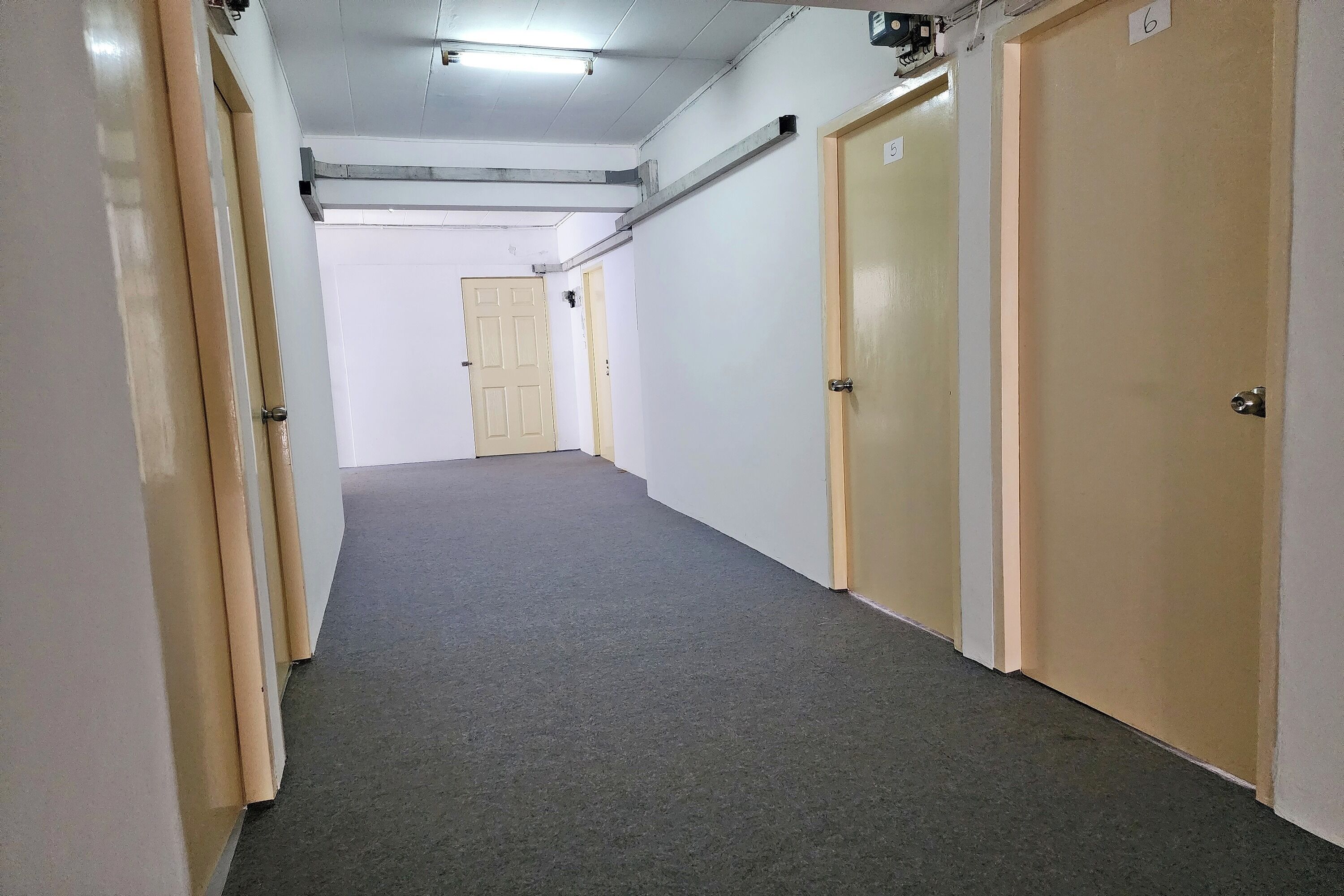 A hallway with carpeted floors, beige walls, and wooden doors.