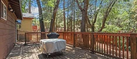 テラス / パティオ