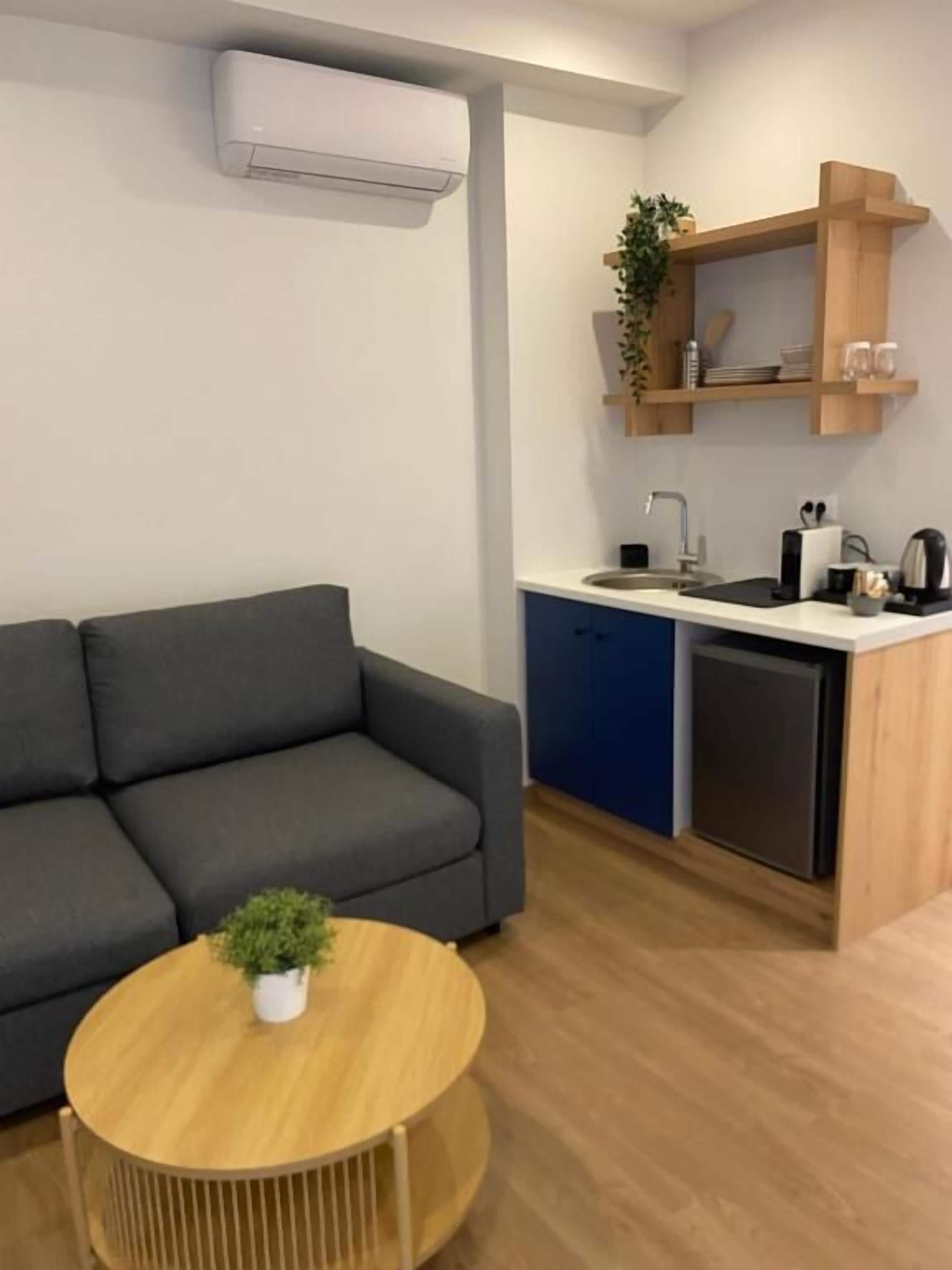 Un salon moderne avec un canapé gris, une table basse ronde en bois et une petite plante en pot. On aperçoit à l’arrière-plan un coin cuisine avec des meubles bleus, un évier et un lave-vaisselle.