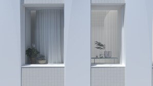 A modern building with two windows, each with a curtain. There are potted plants on the windowsills. - Milioni by Oniro (Athens)