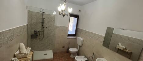 A bathroom with a shower, toilet, bidet, and sink.