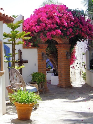 Terassi/patio