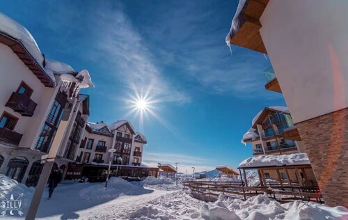 Altimera Collection - Enigma - Ski-In/Ski-Out