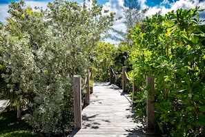 Un sentier en bois bordé d’une végétation luxuriante.