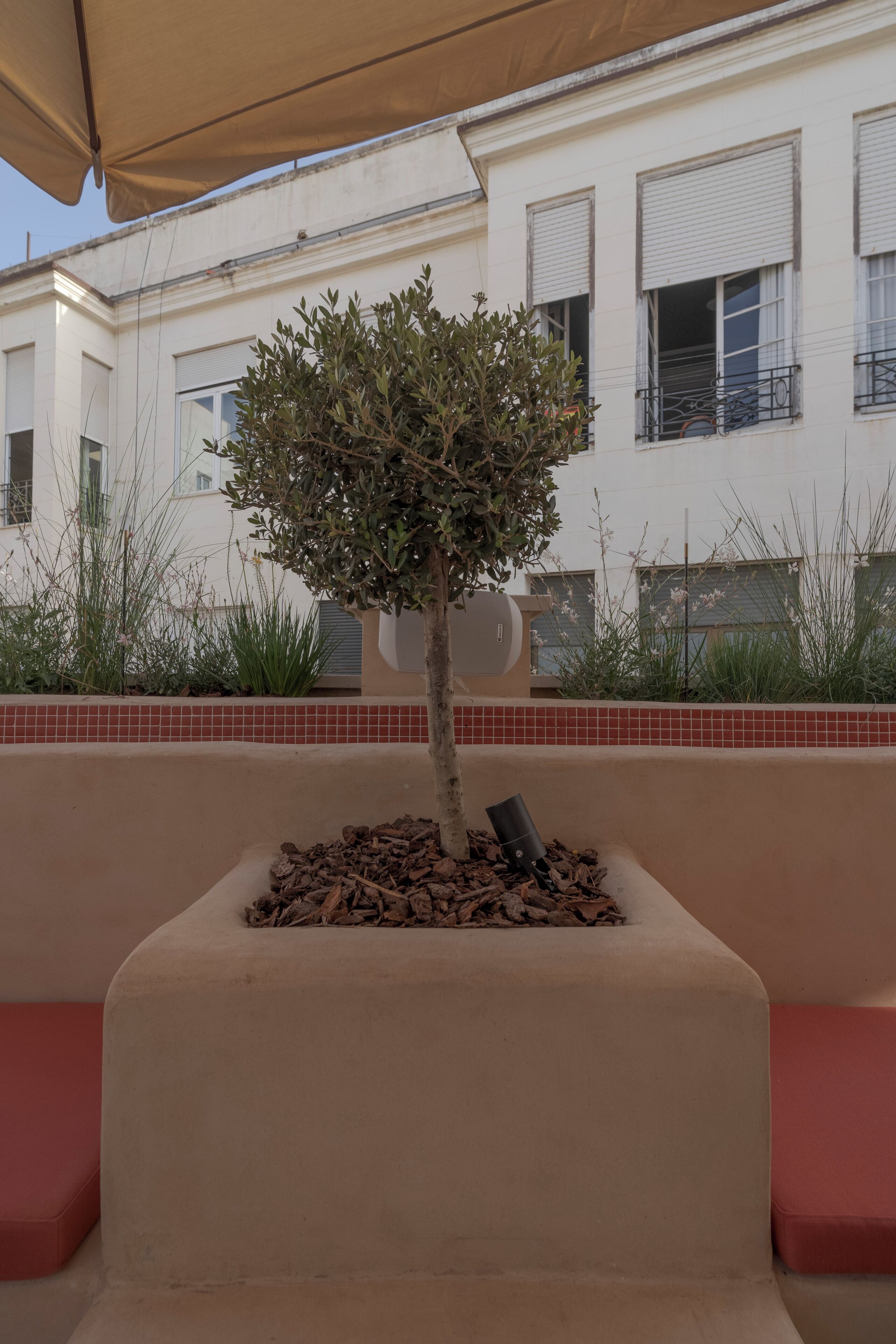 Terraza en la azotea